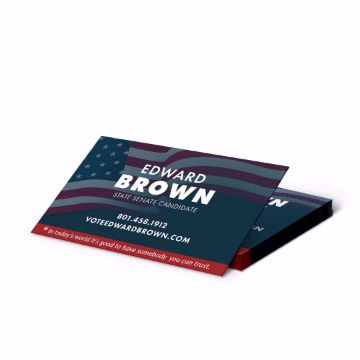 Show details for Wholesale 3.5 inch x 2  inch Campaign Kit Business Cards business cards camapign kit political