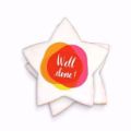 3 inch wholesale custom message star shaped cookies