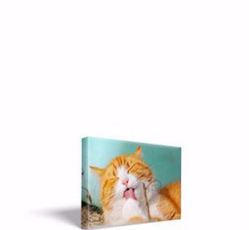 Show details for 11 inch x 17 inch Canvas Print Picture of 11 inch x 17 inch Canvas Print